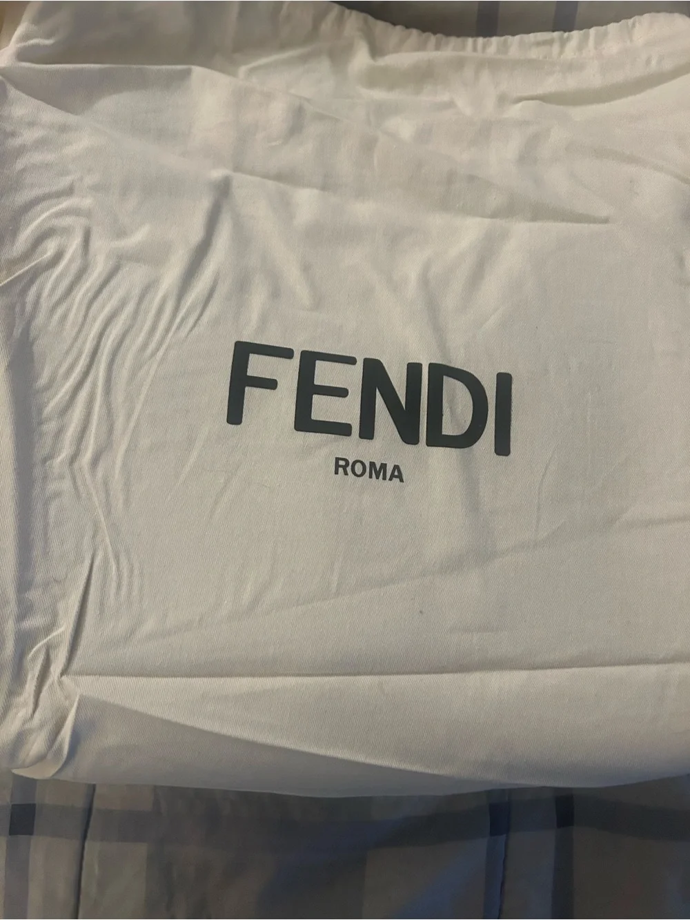 Fendi Roma Leather Tote in Tan with Brown Logo
